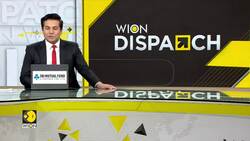 'Yellow Rose Cabbage' takes China by storm; packs over 3 times the vitamin C of regular cabbage News Clip