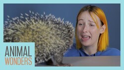 Tessa Violet Smells Our Animals Instructional Video