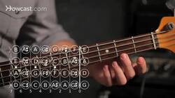 What Is an Octave on the Bass Guitar? Instructional Video