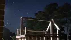 Termite Swarm on the Gulf Coast Instructional Video