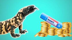 Why Useless Knowledge Can Be So Useful Instructional Video