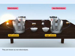 Ionic Equilibria in Solutions Instructional Video