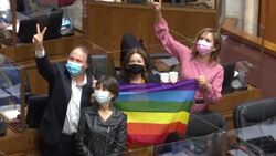 VOICED : Chile da un nuevo paso contra la discriminación y aprueba matrimonio igualitario News Clip