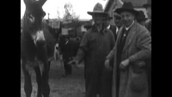 James Cox for campaigns for president, 1920 News Clip