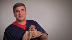 What to Do If Your Snake Bites You Instructional Video