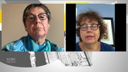 Senators add their voices to call for inquiry into NS shooting News Clip