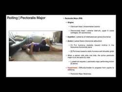 Biomechanics of Rolling from Supine to Side-lying Instructional Video