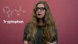 Is There A Myth That Eating Turkey Makes You Sleepy? Instructional Video