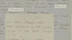 Themes and Symbolism in Emily Dickinson's Poems Instructional Video