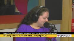 From Moo Deng the pygmy hippo to Pesto the penguin, these baby zoo animals are going viral Instructional Video