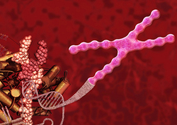 Factpack: Enzymes Instructional Video