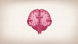 TED-Ed: When are you actually an adult? | Shannon Odell Instructional Video