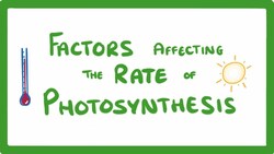 GCSE Biology - Factors Affecting the Rate of Photosynthesis #49 Instructional Video