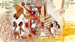 Amaranth: From Ancient Staple to Modern Superfood Instructional Video