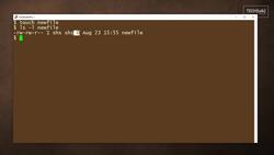 How to use the touch command: 2-Minute Linux Tips Instructional Video