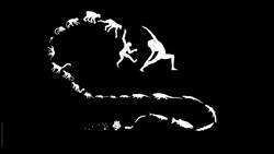 TED: Four billion years of evolution in six minutes | Prosanta Chakrabarty Instructional Video