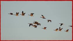 The World's Longest Non-Stop Flight Instructional Video