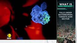 FBI Arrests Two Chinese Nationals Over Smuggling Dangerous Pathogens Into US News Clip