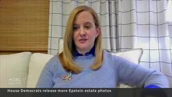 Trump, Clinton and Gates seen in new Epstein photos released by Democrats News Clip