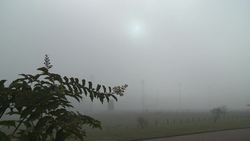 Weather Things: Fog Instructional Video