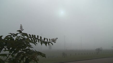 Weather Things: Fog