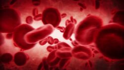 From Cell to System Instructional Video