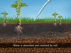 Water in Soil Instructional Video