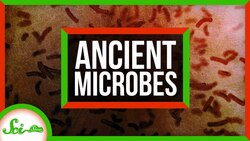 These 100-Million-Year-Old Microbes Are Still Alive! Instructional Video