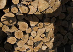 What is a shadow? Instructional Video