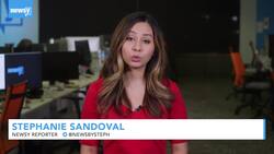 Gun Rights Advocates Urge Thousands To Attend Virginia Rally News Clip