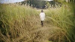 Asian tourist woman taking pictures of the mountainside with her camera at Stock Footage
