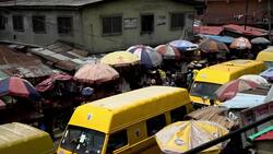 How the pandemic is impacting conservation efforts News Clip