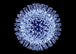 Virus Instructional Video