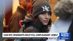 Tyson Foods wants to hire 52,000 asylum seekers for factory jobs News Clip