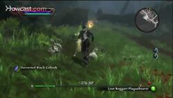 Kingdoms of Amalur: Reckoning Walkthrough Part 11 - Haxhi Dam Instructional Video