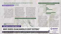 This Is Why Guacamole Costs Extra News Clip