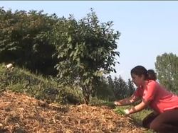 Understanding Renewable and Non-Renewable Energy Sources Instructional Video