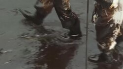 CLEAN : Peru: cleaning crews work to remove oil from beaches News Clip