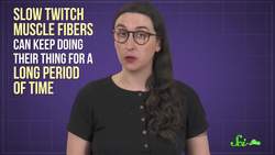 Why Are Cheetahs the Fastest Land Animal? Instructional Video