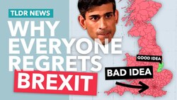 Everyone Regrets Brexit: So What? Instructional Video