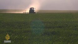 Kazakhstan's agricultural challenges: Govt introduces initiatives to increase grain exports News Clip