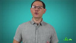 Splat! 5 Species that Masquerade as Bird Droppings Instructional Video