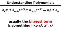 Introduction to Polynomials Instructional Video