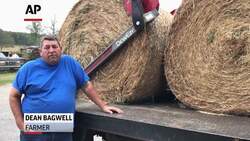 'Flash drought brings dread to southern farmers Instructional Video