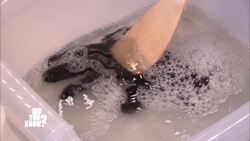 The Science Behind Washing Clothes Instructional Video