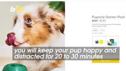 These Gifts Are Perfect For the Furry Friends in Your Life Instructional Video