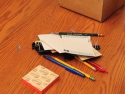 Grouping Living Things: Grouping Things Instructional Video