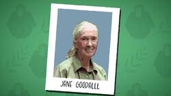 I WONDER - Who Is Jane Goodall? Instructional Video