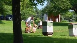 NASA | Feeling the Sting of Climate Change Instructional Video