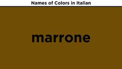 Italian Vocabulary: Colors Instructional Video